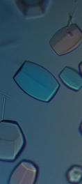 Some protein crystals